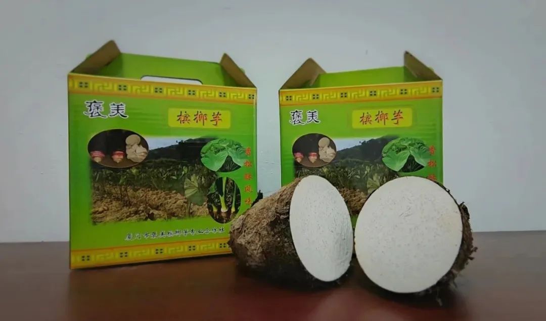 8622685a8d60b090dcf62117853d6a48.jpg 8622685a8d60b090dcf62117853d6a48.jpg