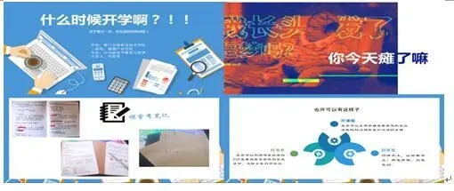 mmexport1585725644035.jpg mmexport1585725644035.jpg